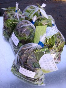 Salad bags for retail 160720 comp