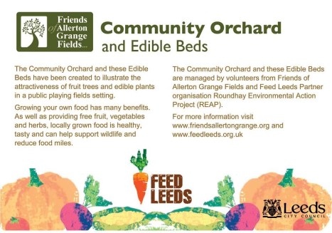 Community Orchard and Edible Bed